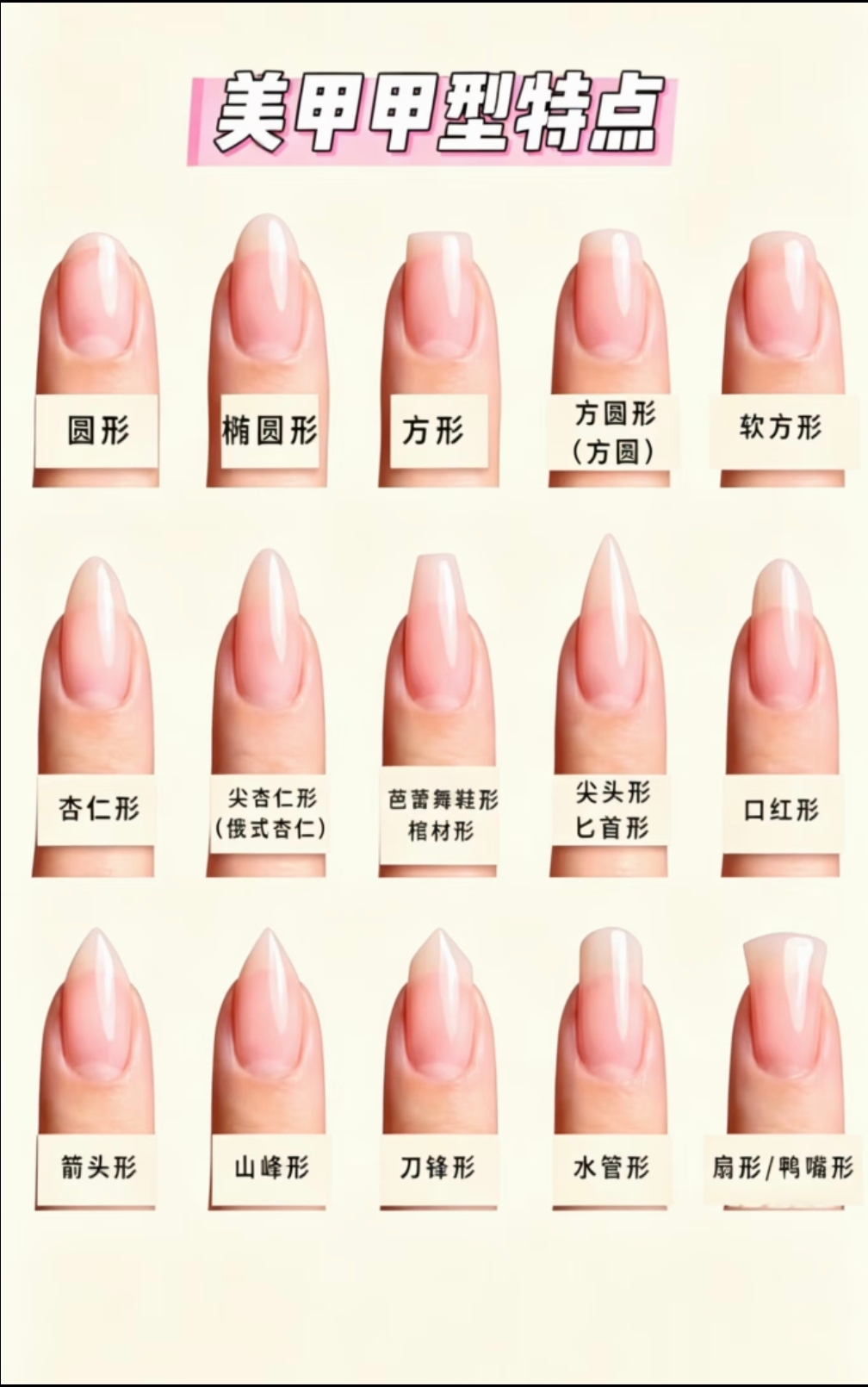 15种基础与个性甲型总览
